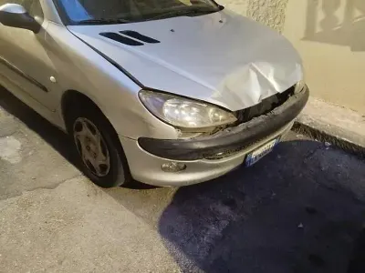 Usata Peugeot 206