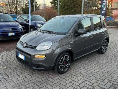 usata Fiat Panda 1.0 FireFly S&S Hybrid City Life