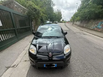 Usata Fiat Panda Sport 69 CV (50 kW) 2022 Utilitaria