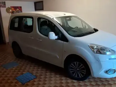 Usata Peugeot Partner Tepee