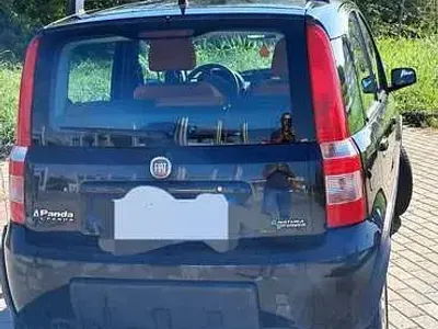 Usata Fiat Panda Climbing 60 CV (44 kW) 2009 Nero Utilitaria