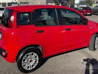 Usata Fiat Panda 69 CV (50 kW) 2020 Utilitaria
