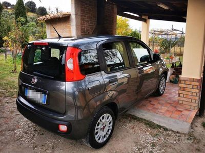 usata Fiat Panda 1.2 easypower Lounge Gpl 69cv