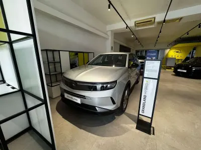 Usata Opel Grandland X