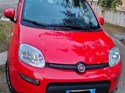 Usata Fiat Panda 4x4 95 CV (69 kW) 2016 Rosso Utilitaria