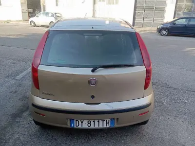 Usata Fiat Punto Active 60 CV (44 kW) 2009 Utilitaria