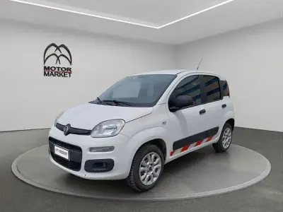 Usata Fiat Panda 4x4 Pop 85 CV (62 kW) 2019 Bianco Utilitaria