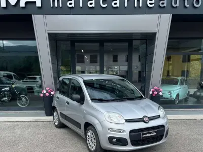 Usata Fiat Panda Easy 69 CV (50 kW) 2017 Argento Utilitaria