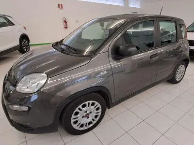 Usata Fiat Panda S 69 CV (50 kW) 2023 Grigio Utilitaria