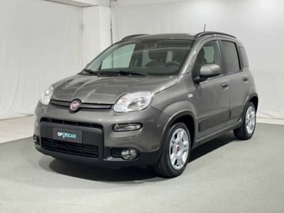 usata Fiat Panda 1.0 FireFly S&S Hybrid nuova a Caspoggio