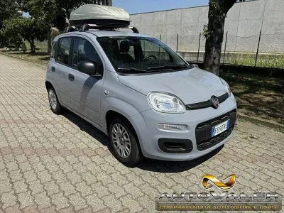 Usata Fiat Panda Easy 69 CV (50 kW) 2018 Grigio Utilitaria