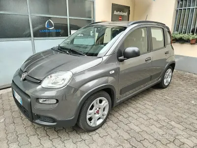 Usata Fiat Panda 69 CV (50 kW) 2022 Grigio Utilitaria