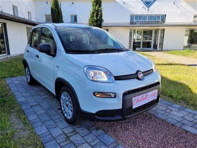 usata Fiat Panda Cross Cross 1.0 FireFly S&S Hybrid nuovo