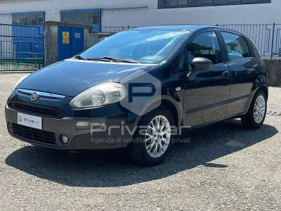 Usata Fiat Punto Evo