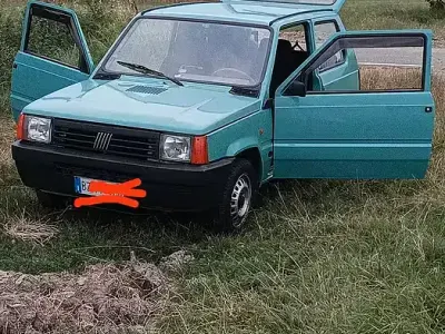 Usata Fiat Panda 54 CV (39 kW) 2002 Verde Berlina
