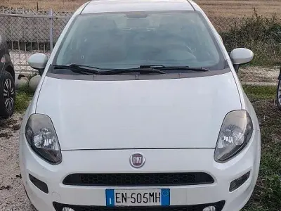 Usata Fiat Punto S 85 CV (62 kW) 2012 Bianco Utilitaria