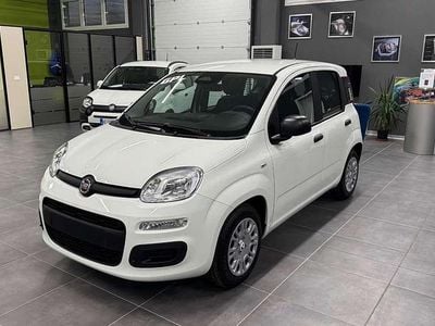 Nuova Fiat Panda S 69 CV (50 kW) 2025 Bianco Utilitaria
