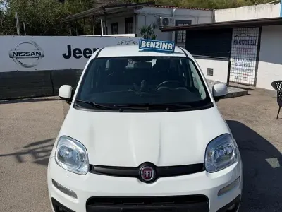 Usata Fiat Panda Lounge 69 CV (50 kW) 2020 Bianco Utilitaria