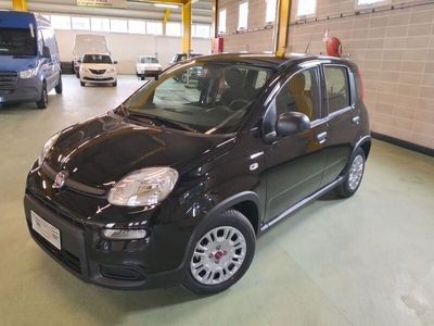 usata Fiat Panda 1.0 FireFly S&S Hybrid