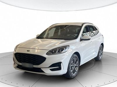Usata Ford Kuga ST-Line 190 CV (139 kW) 2023 Bianco SUV
