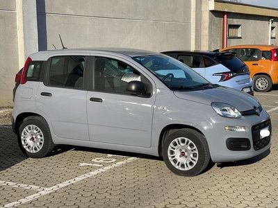 Usata Fiat Panda 69 CV (50 kW) 2020 Grigio Utilitaria