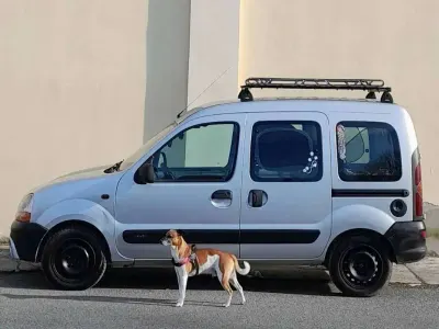 Usata Renault Kangoo