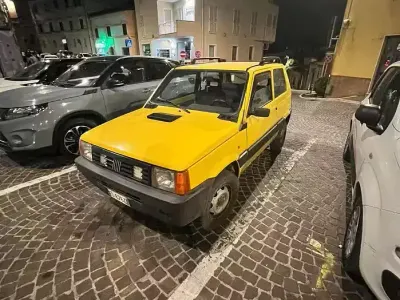 Usata Fiat Panda 4x4 54 CV (39 kW) 2003 Giallo Utilitaria