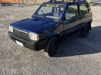 Usata Fiat Panda 4x4