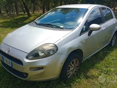 Usata Fiat Punto Lounge 70 CV (51 kW) 2014 Grigio Utilitaria