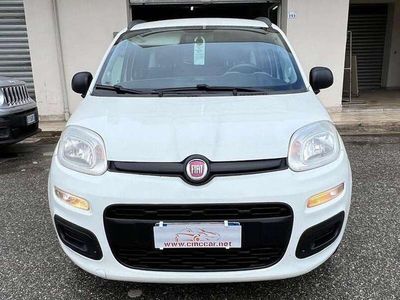 Usata Fiat Panda Lounge 75 CV (55 kW) 2014 Bianco Utilitaria