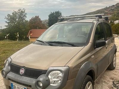 Usata Fiat Panda Cross Cross 2006 Grigio Utilitaria