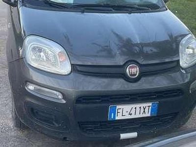 Usata Fiat Panda Easy 69 CV (50 kW) 2018 Utilitaria