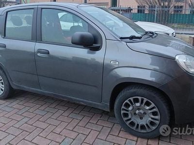 Usata Fiat Panda 69 CV (50 kW) 2019 Grigio Utilitaria