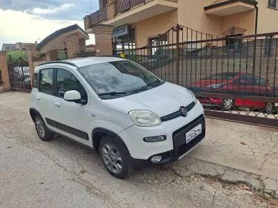 Usata Fiat Panda 4x4 S 75 CV (55 kW) 2013 Bianco Utilitaria