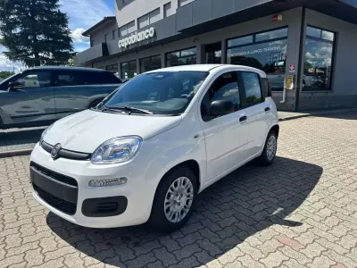 Nuova Fiat Panda Pop 69 CV (50 kW) 2026 Bianco Utilitaria
