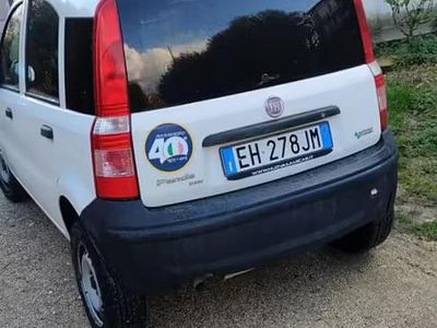 Usata Fiat Panda 77 CV (56 kW) 2011 Utilitaria