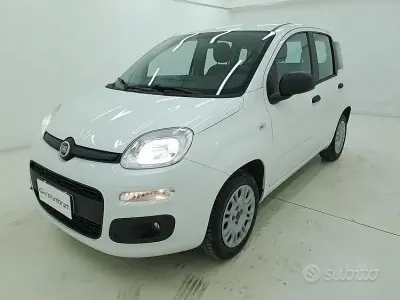 Usata Fiat Panda 69 CV (50 kW) 2020 Bianco Utilitaria