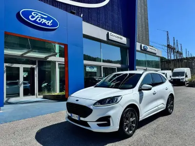 Usata Ford Kuga ST-Line 152 CV (111 kW) 2023 Bianco SUV