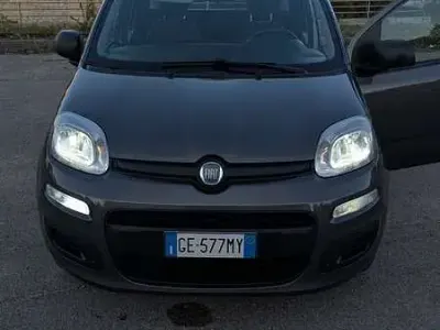 Usata Fiat Panda City Life 69 CV (50 kW) 2021 Utilitaria
