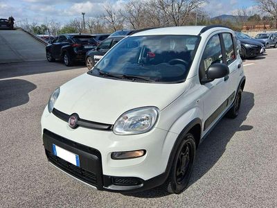 Usata Fiat Panda 4x4 S 86 CV (63 kW) 2020 Other Utilitaria