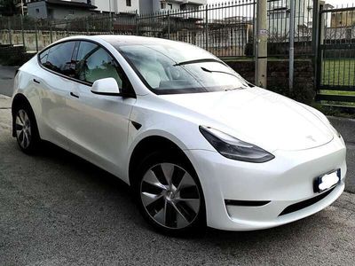 usata Tesla Model Y Model YLong Range Dual Motor awd