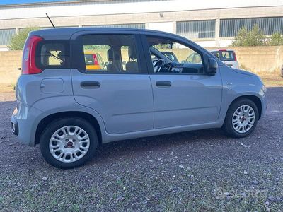 Usata Fiat Panda 2021 Grigio Utilitaria
