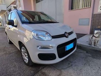 usata Fiat Panda Panda1.2 easypower Gpl 69cv E6