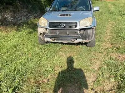 Usata Toyota RAV4