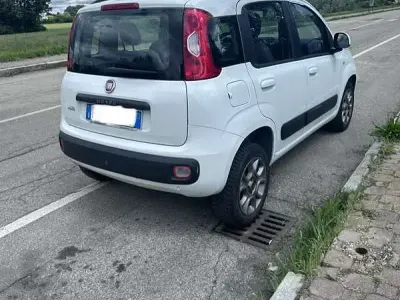 Usata Fiat Panda Easy 80 CV (58 kW) 2016 Utilitaria