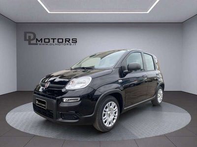 Usata Fiat Panda Icon 69 CV (50 kW) 2024 Nero Utilitaria
