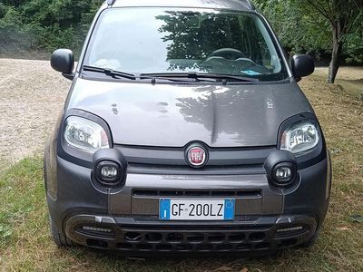 Usata Fiat Panda Cross Cross 70 CV (51 kW) 2021 Grigio Utilitaria