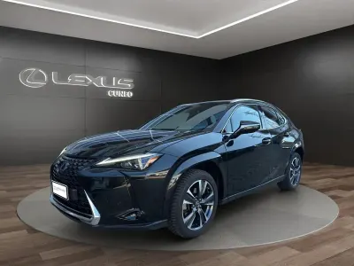Usata Lexus UX 250h