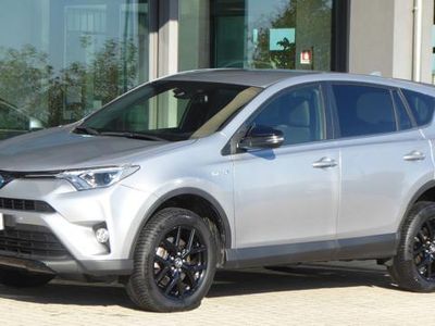 usata Toyota RAV4 Hybrid 2WD Dynamic usato