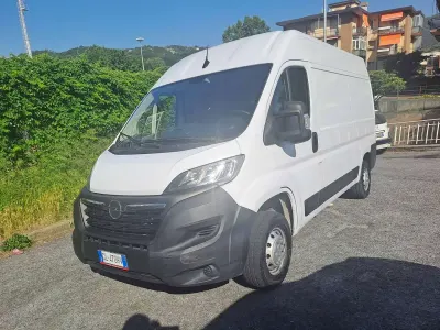 Usata Opel Movano